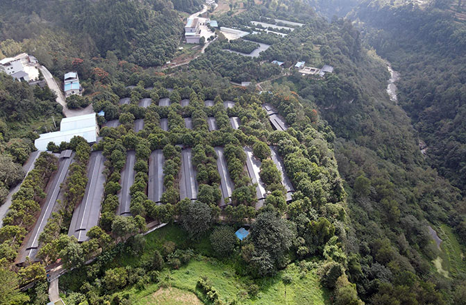 国家生猪核心育种场