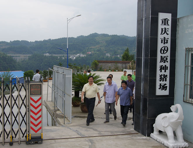 国家乡村振兴局副局长、原黔江区委书记洪天云视察重庆69